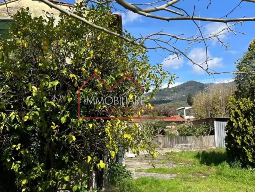 Immagine 3 di Rustico / casale in vendita  a Camaiore