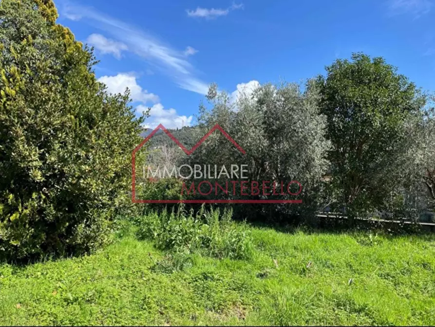 Immagine 8 di Rustico / casale in vendita  a Camaiore