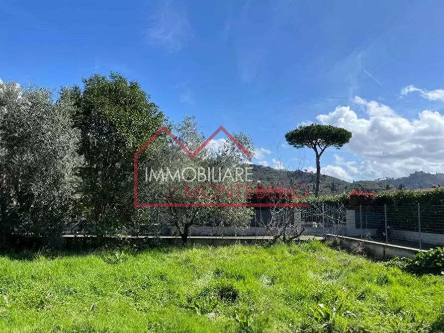 Immagine 6 di Rustico / casale in vendita  a Camaiore