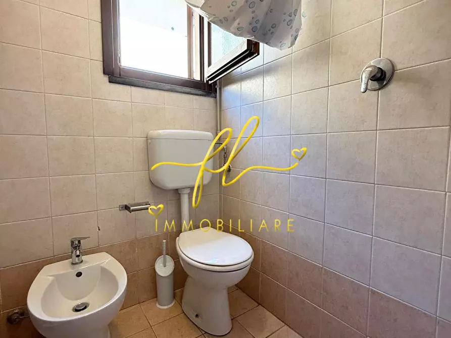 Immagine 6 di Appartamento in vendita  a Cecina