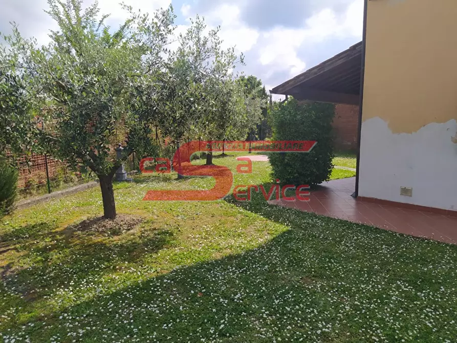 Immagine 4 di Casa bifamiliare in vendita  a Monsummano Terme
