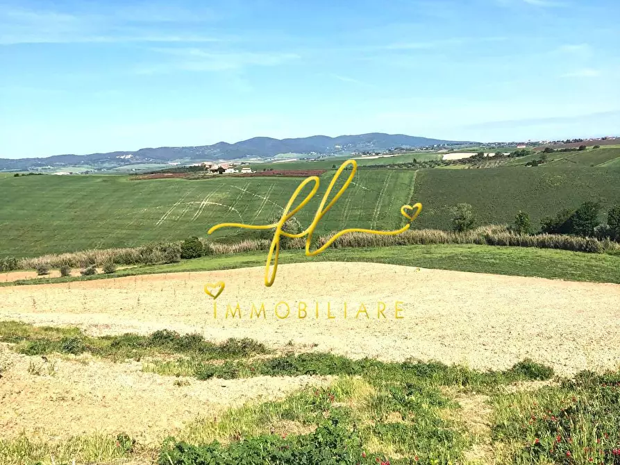 Immagine 2 di Terreno agricolo in vendita  a Santa Luce