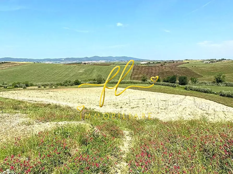 Immagine 3 di Terreno agricolo in vendita  a Santa Luce
