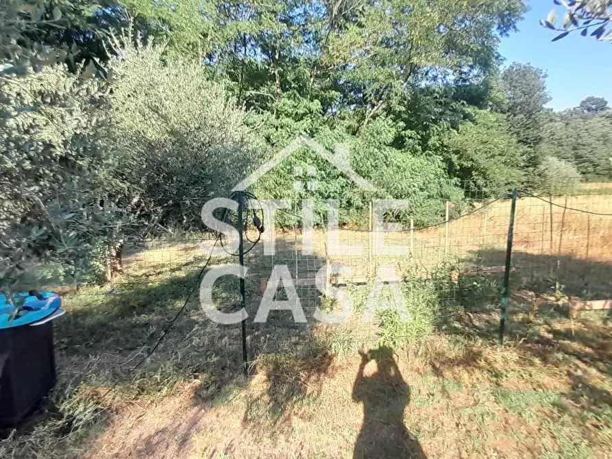 Immagine 27 di Appartamento in vendita  a Castelfranco Di Sotto