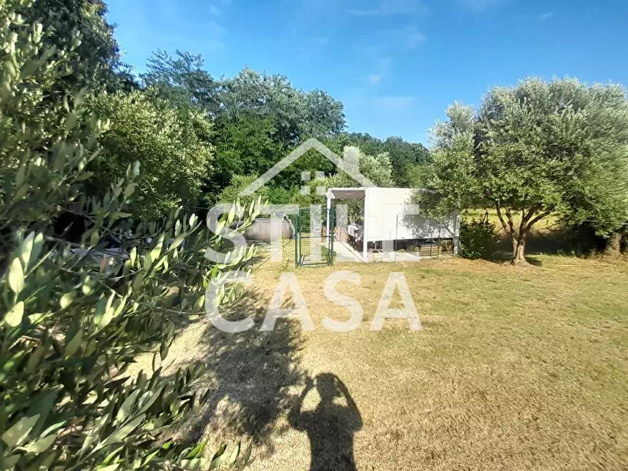 Immagine 24 di Appartamento in vendita  a Castelfranco Di Sotto