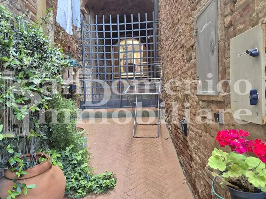 Immagine 6 di Appartamento in vendita  a Peccioli