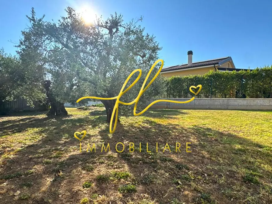 Immagine 24 di Villa in vendita  a Cecina