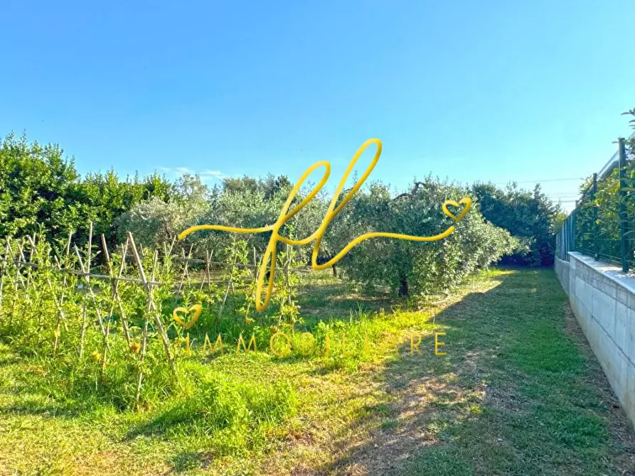 Immagine 26 di Villa in vendita  a Cecina