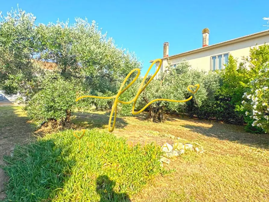 Immagine 25 di Villa in vendita  a Cecina