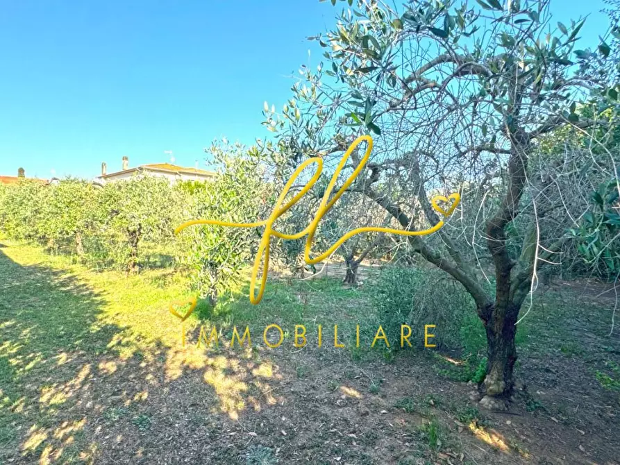 Immagine 27 di Villa in vendita  a Cecina