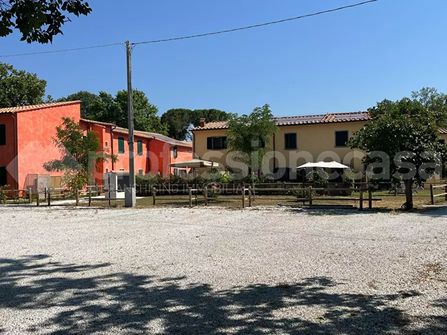 Immagine 19 di Terratetto in vendita  a Pisa