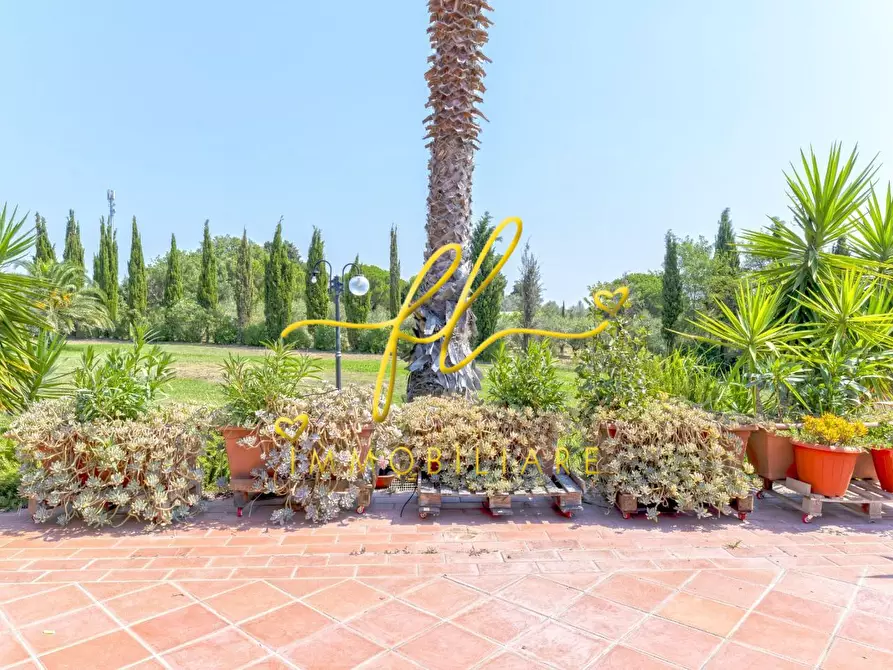 Immagine 17 di Casa colonica in vendita  a Cecina