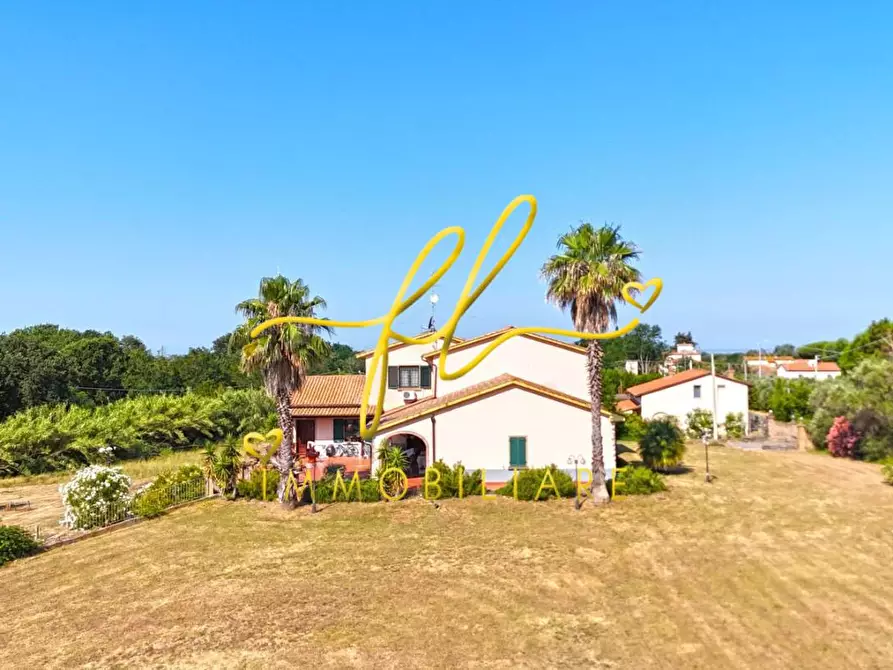 Immagine 11 di Casa colonica in vendita  a Cecina