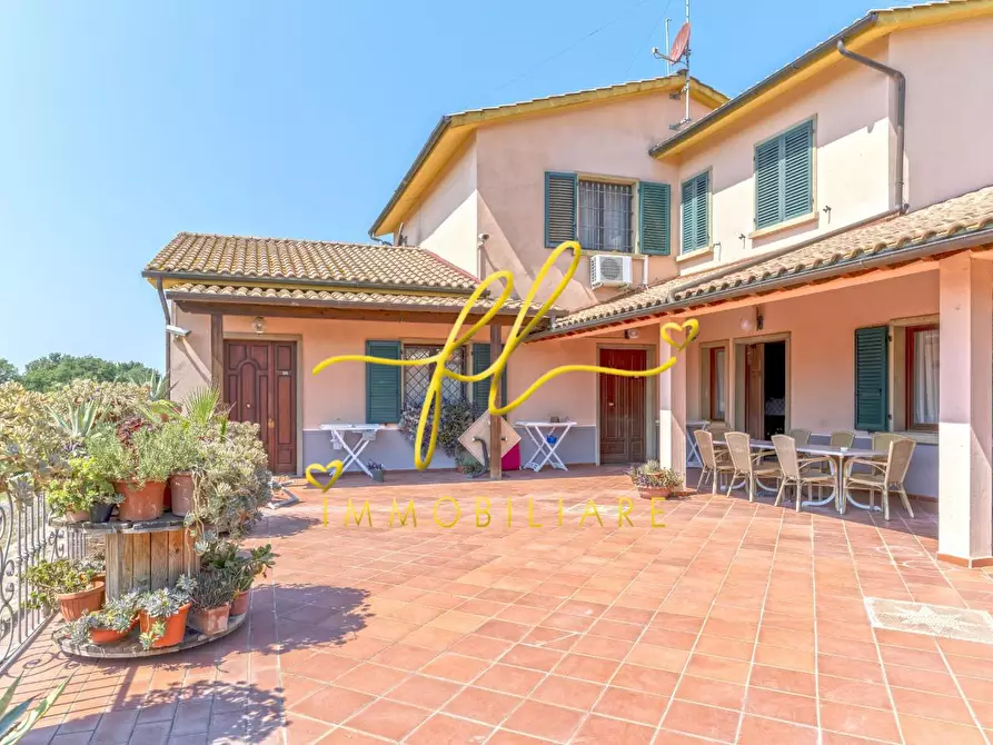 Immagine 2 di Casa colonica in vendita  a Cecina