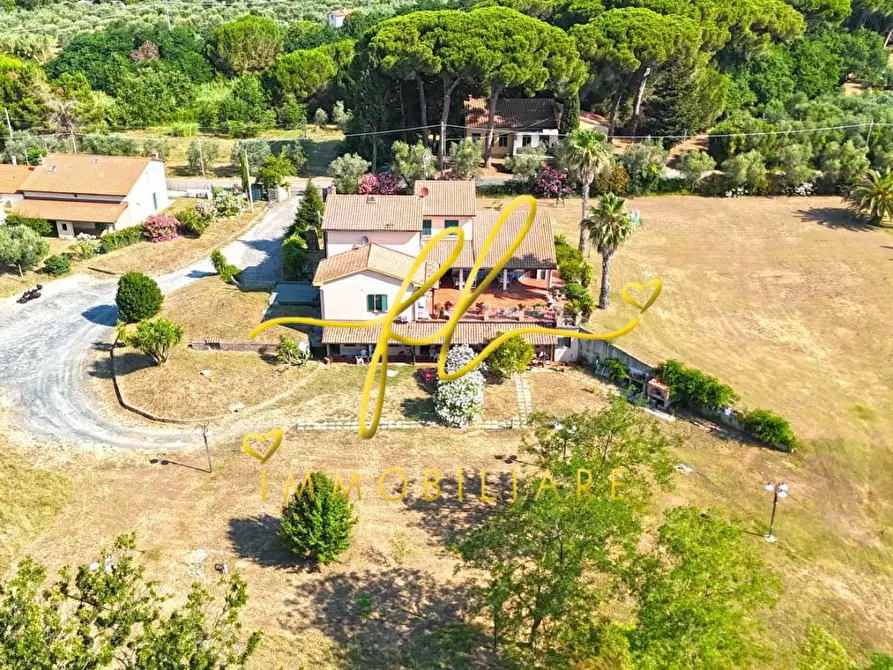 Immagine 9 di Casa colonica in vendita  a Cecina