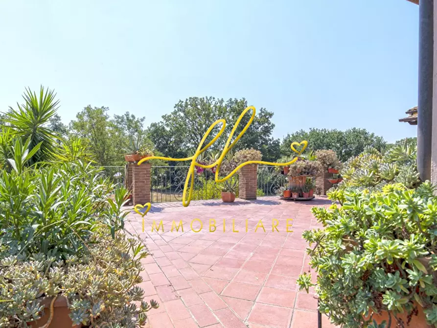 Immagine 20 di Casa colonica in vendita  a Cecina