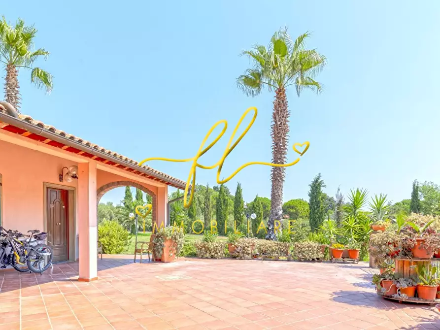 Immagine 18 di Casa colonica in vendita  a Cecina