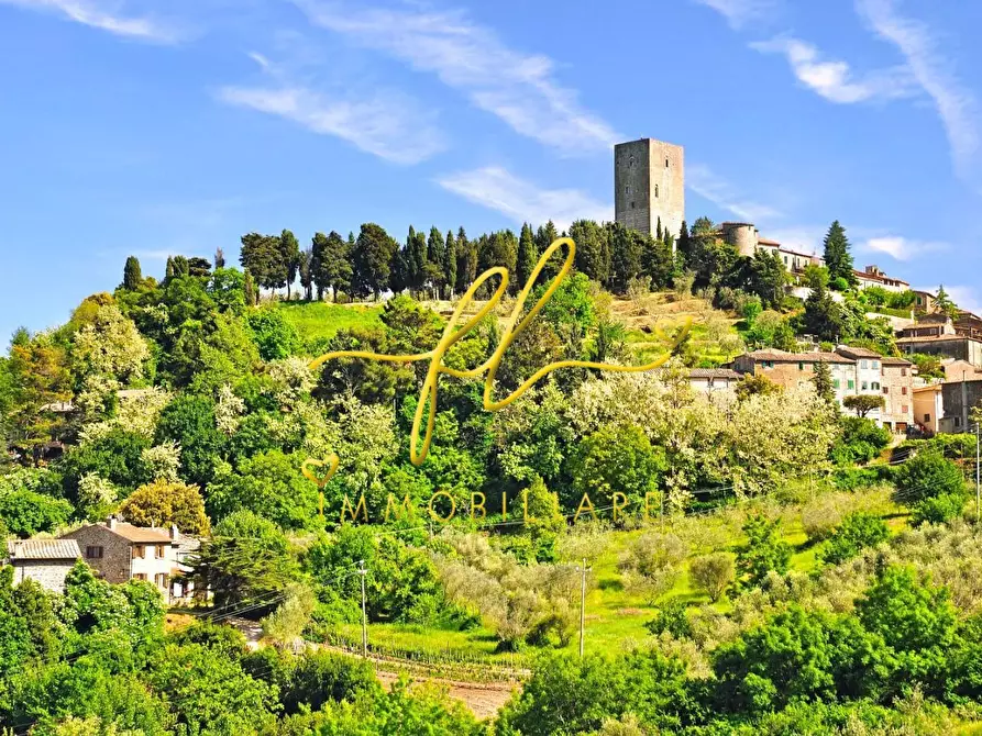 Immagine 17 di Appartamento in vendita  a Montecatini Val Di Cecina