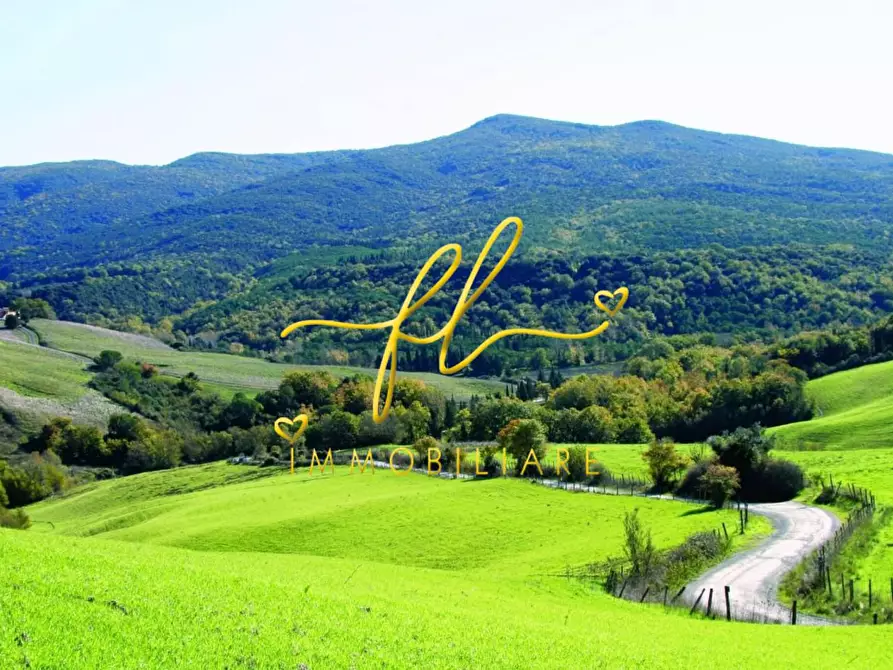 Immagine 23 di Appartamento in vendita  a Montecatini Val Di Cecina