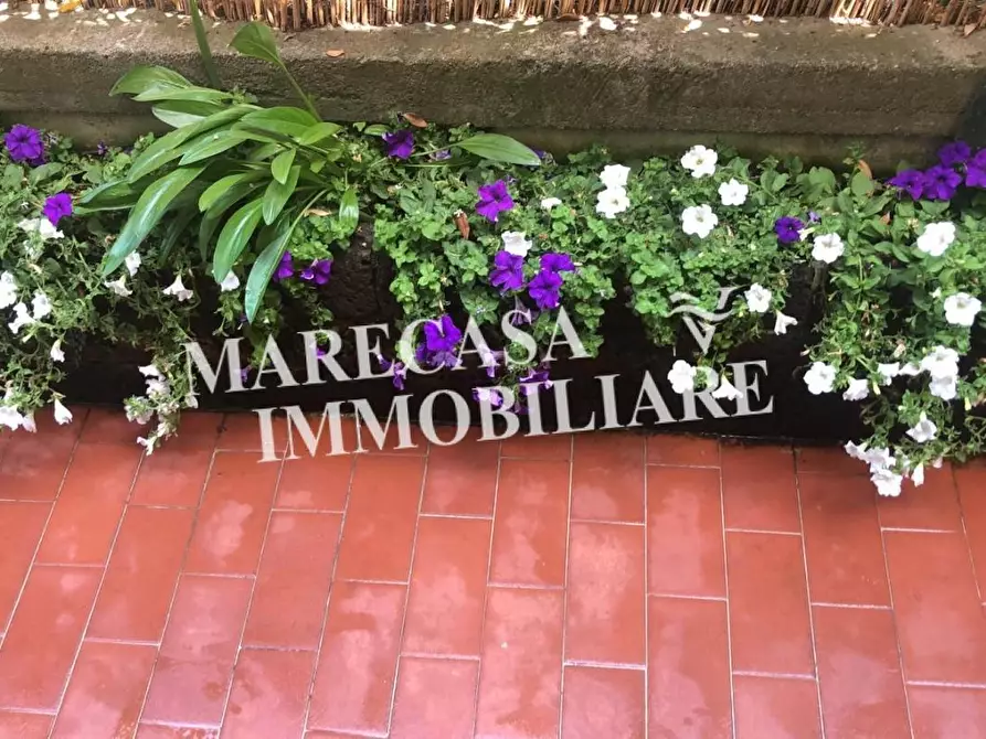 Immagine 8 di Appartamento in vendita  a Carrara