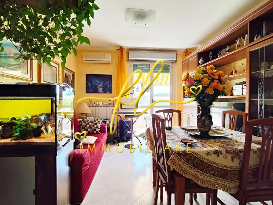 Immagine 5 di Appartamento in vendita  a Rosignano Marittimo