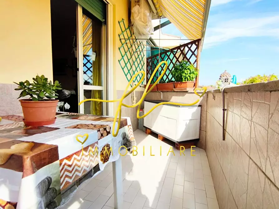 Immagine 9 di Appartamento in vendita  a Rosignano Marittimo