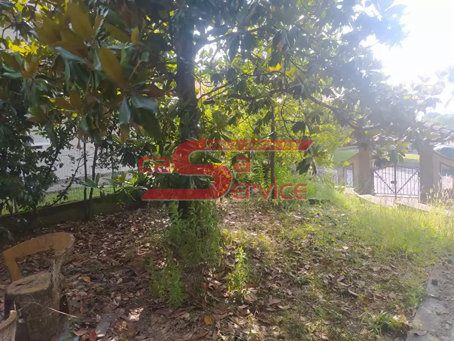 Immagine 5 di Villa in vendita  a Lamporecchio