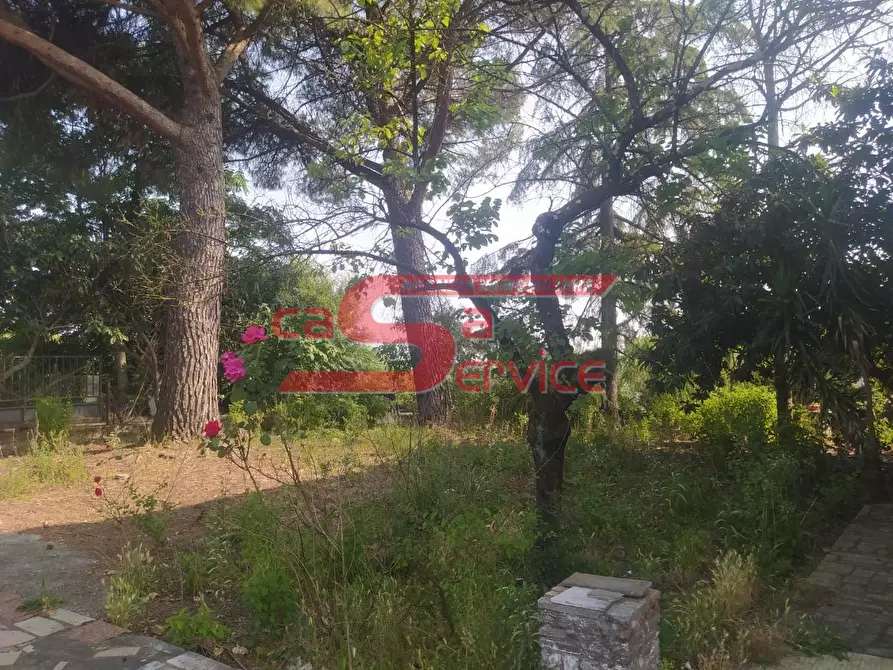 Immagine 8 di Villa in vendita  a Lamporecchio