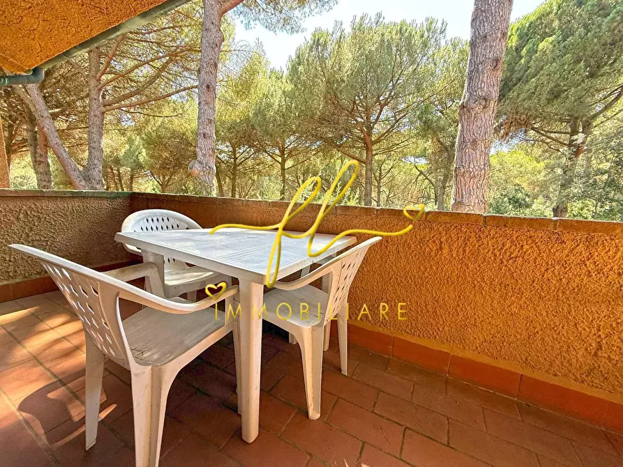 Immagine 5 di Appartamento in vendita  a Guardistallo