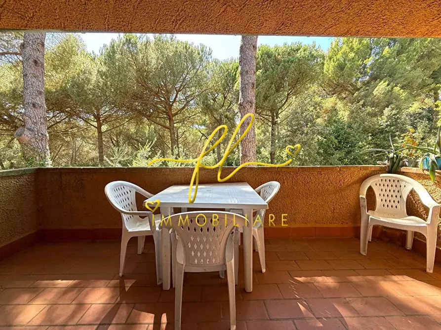 Immagine 3 di Appartamento in vendita  a Guardistallo