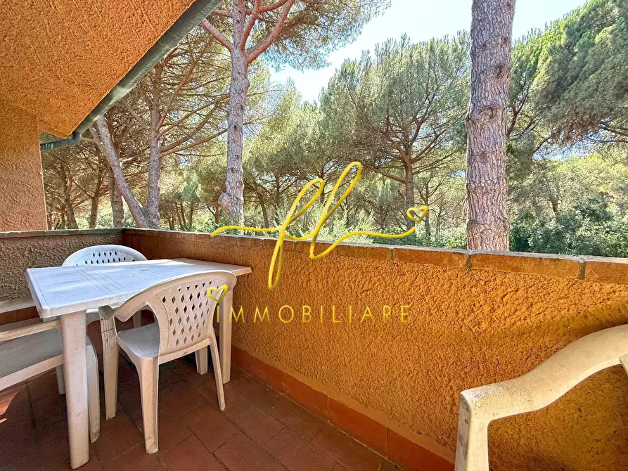 Immagine 6 di Appartamento in vendita  a Guardistallo