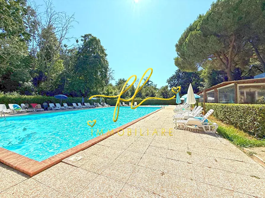 Immagine 14 di Appartamento in vendita  a Guardistallo