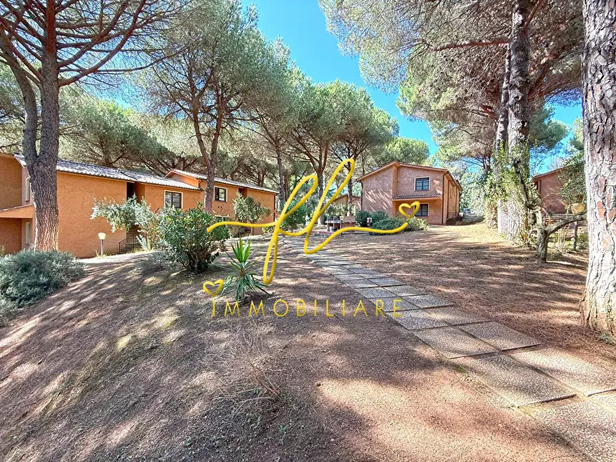 Immagine 15 di Appartamento in vendita  a Guardistallo