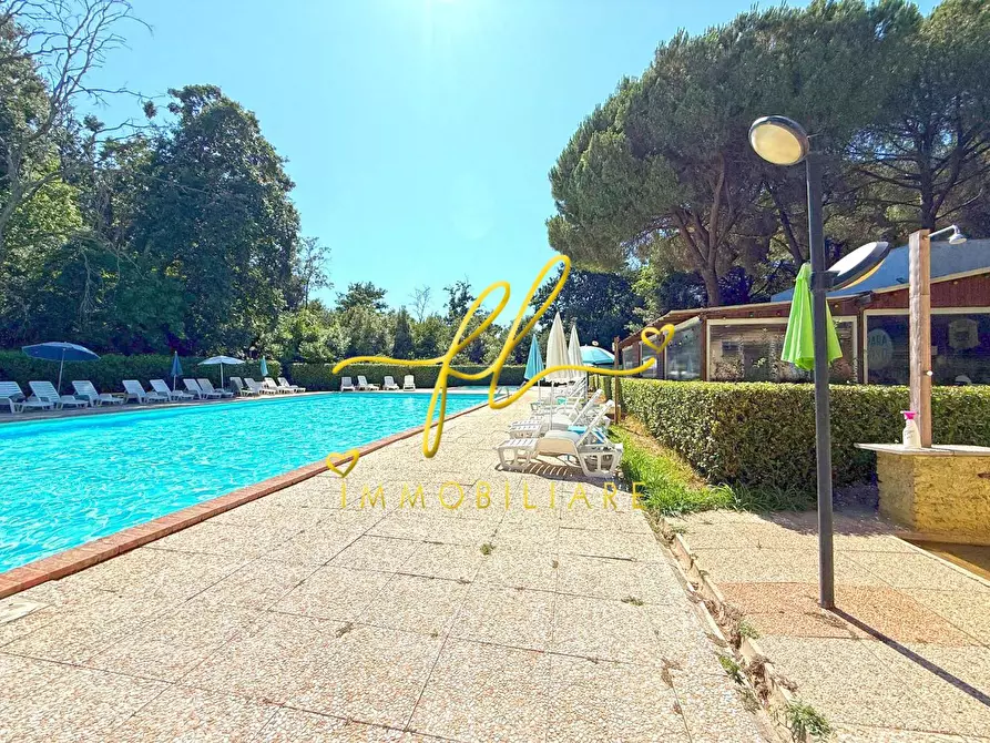 Immagine 13 di Appartamento in vendita  a Guardistallo