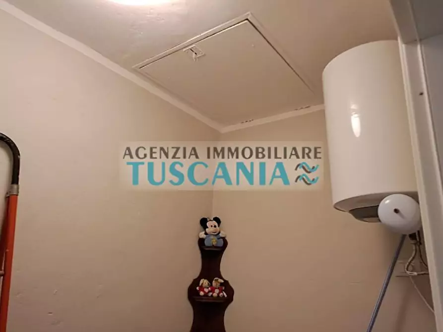Immagine 16 di Appartamento in vendita  a Cecina