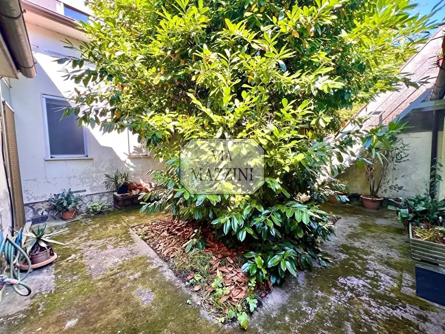 Immagine 7 di Casa bifamiliare in vendita  a Pietrasanta