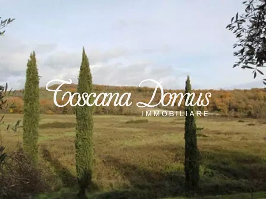 Immagine 5 di Deposito in vendita  a Castelnuovo Berardenga