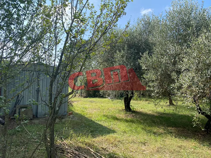 Immagine 32 di Terratetto in vendita  a Livorno