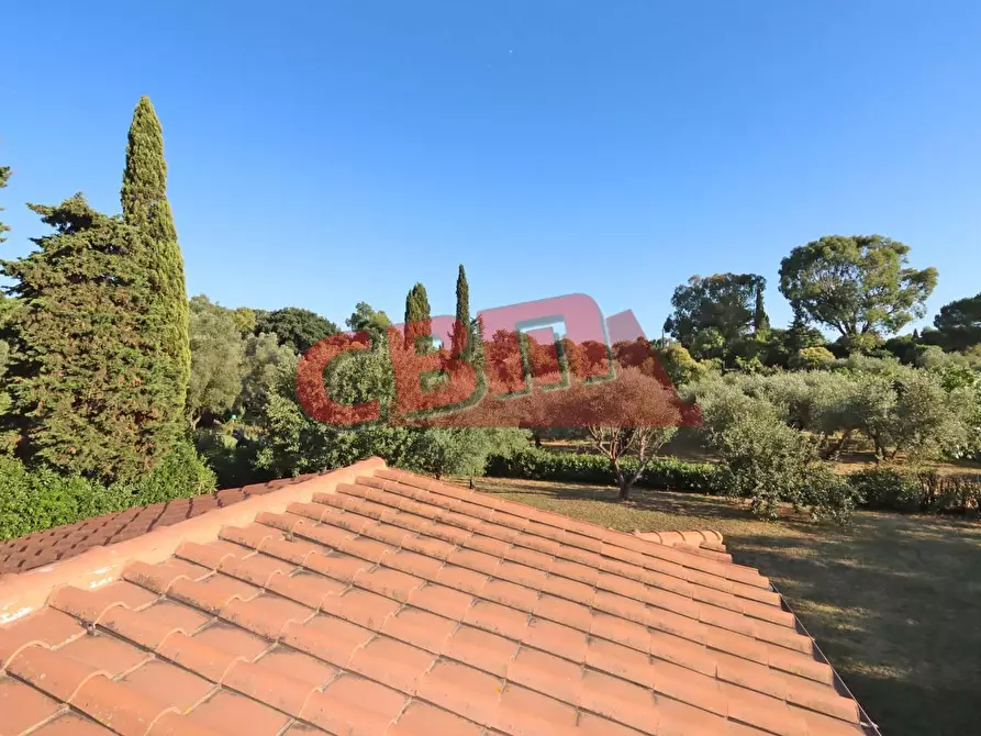 Immagine 28 di Terratetto in vendita  a Livorno