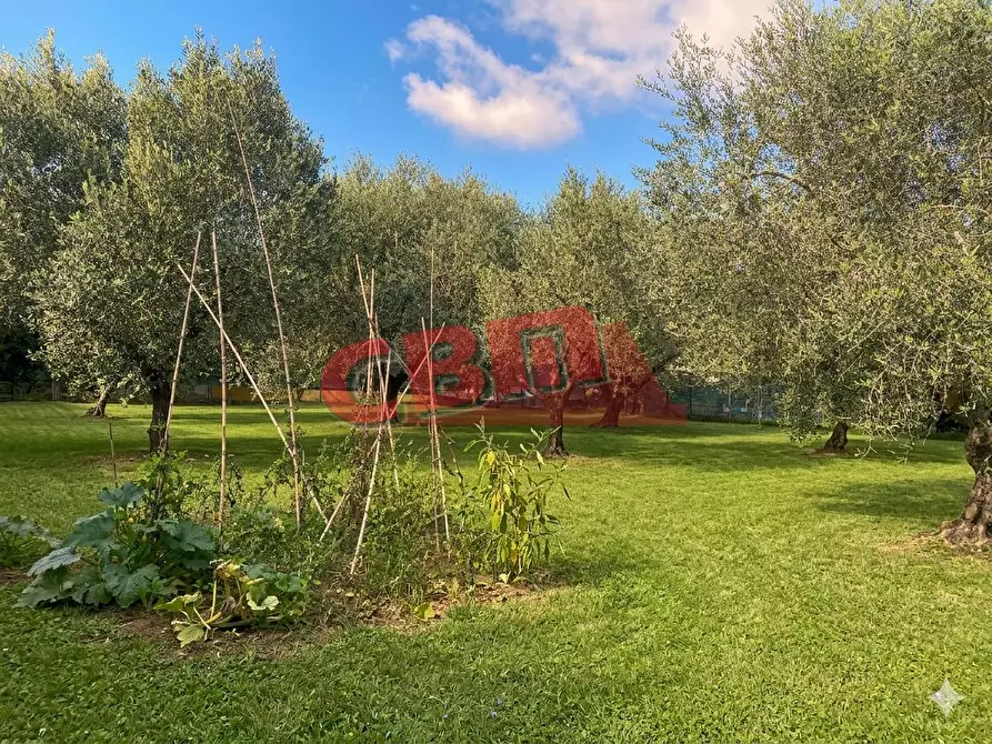 Immagine 38 di Terratetto in vendita  a Livorno