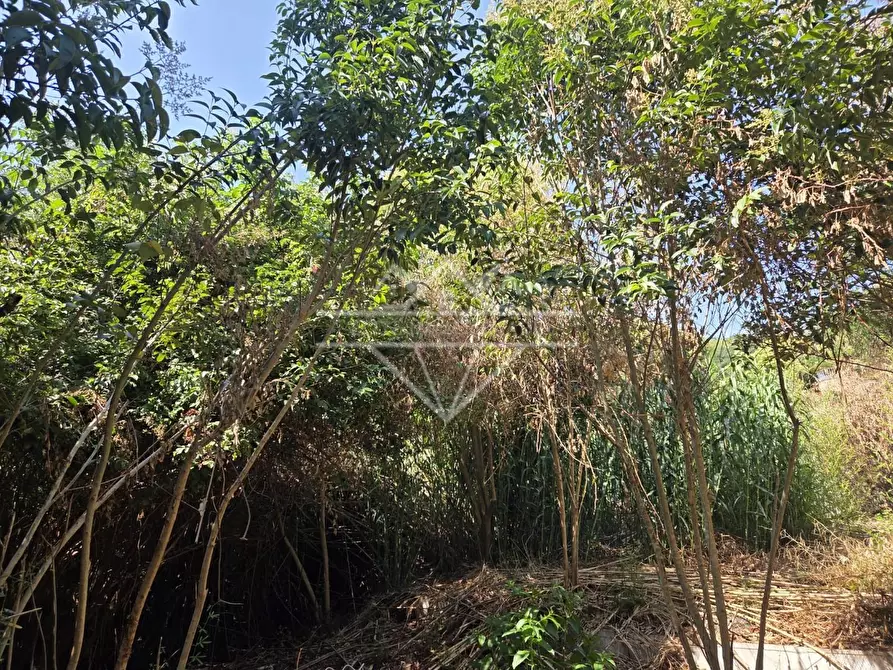 Immagine 15 di Casa semindipendente in vendita  a Carrara