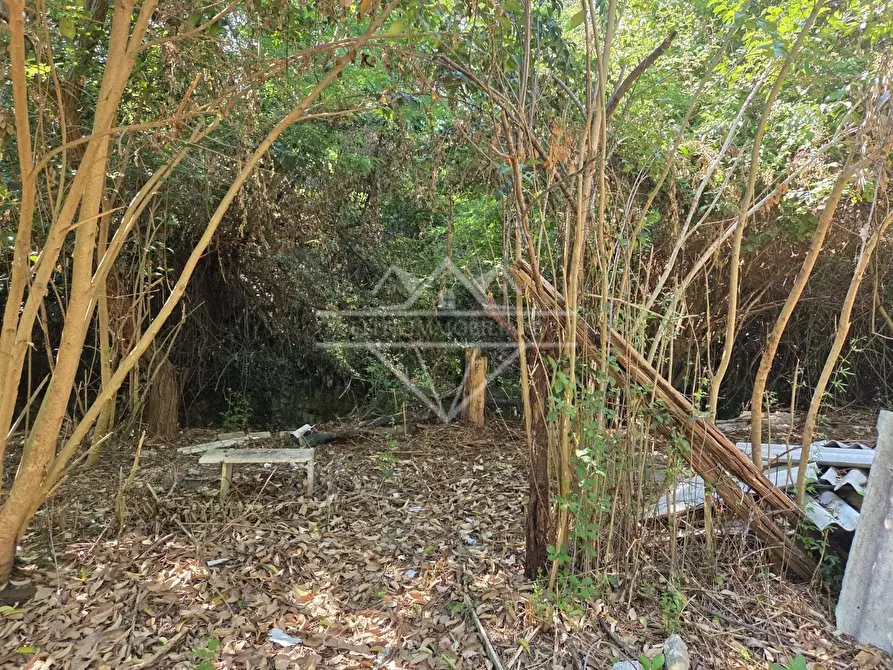 Immagine 11 di Casa semindipendente in vendita  a Carrara
