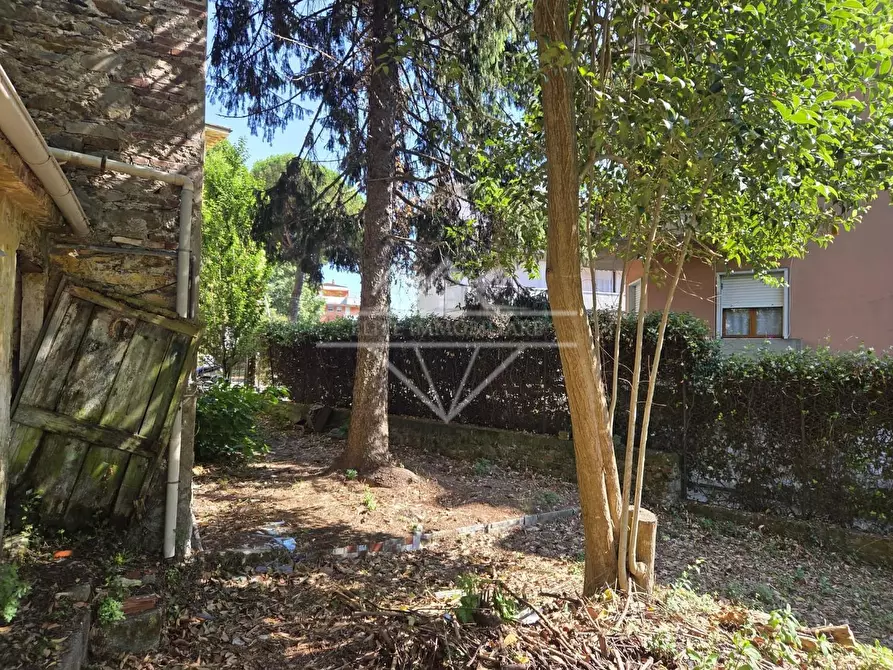 Immagine 14 di Casa semindipendente in vendita  a Carrara