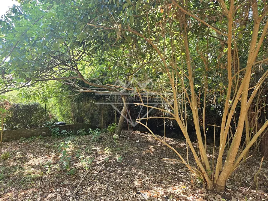 Immagine 9 di Casa semindipendente in vendita  a Carrara