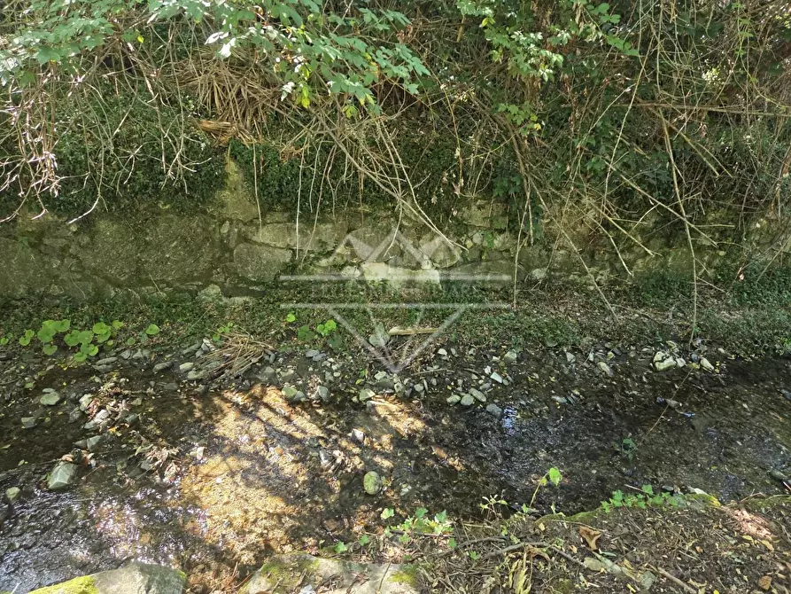 Immagine 13 di Casa semindipendente in vendita  a Carrara