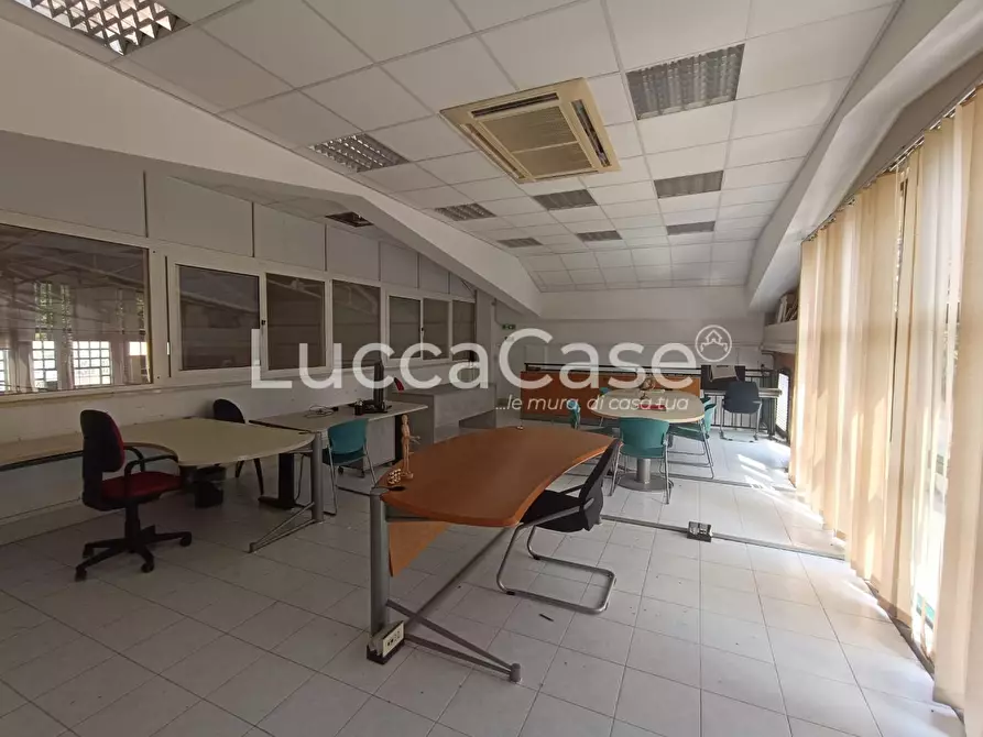 Immagine 9 di Capannone industriale in vendita  a Massarosa