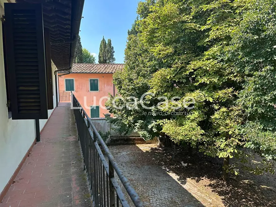 Immagine 9 di Casa colonica in vendita  a Pisa