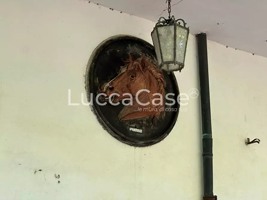 Immagine 14 di Casa colonica in vendita  a Pisa