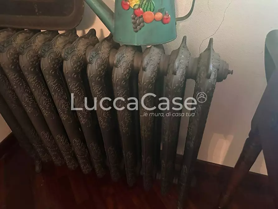 Immagine 42 di Casa colonica in vendita  a Pisa