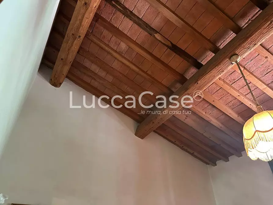 Immagine 44 di Casa colonica in vendita  a Pisa